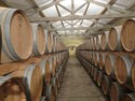 Aging the wine in barrels